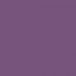IevSh-Violet Sombre