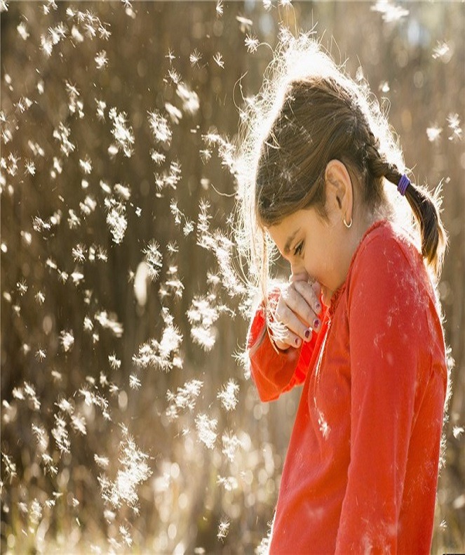 آلرژی های پاییز