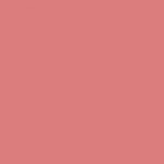 TS-pink flamingo