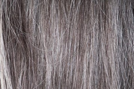 همه چیز راجع به مراقبت از موهای خشک