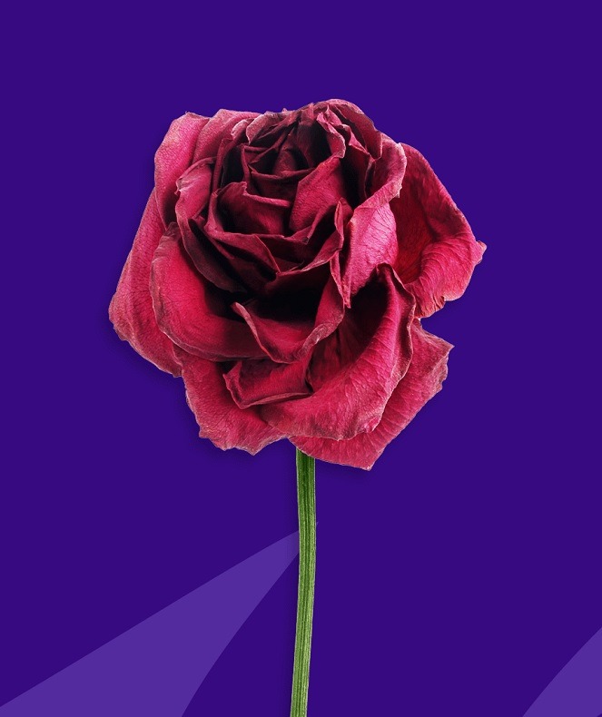 درمان خشکی واژن