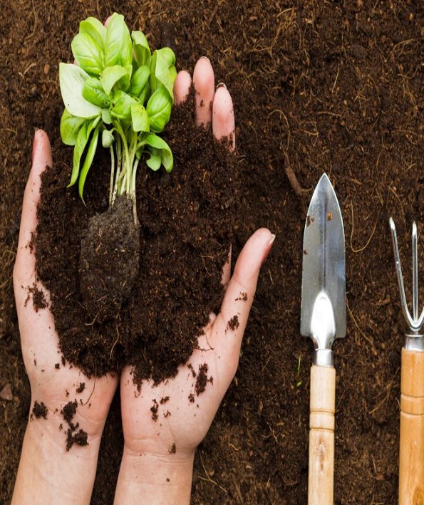 راه های ترمیم پوست دست بعد از کارهای باغبانی