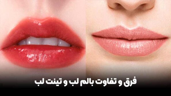 526e9c9e-2cc5-48fb-a5fc-89fd5df25fc2-3 ece cc fb afc fddffc
